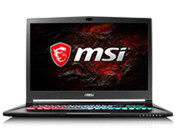 MSI GE73VR Raider-256 17.3